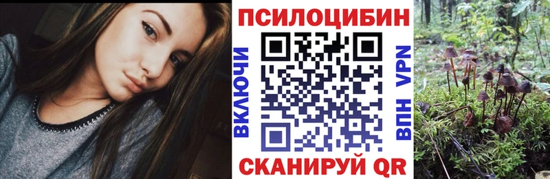 Галлюциногенные грибы Cubensis  Обоянь 